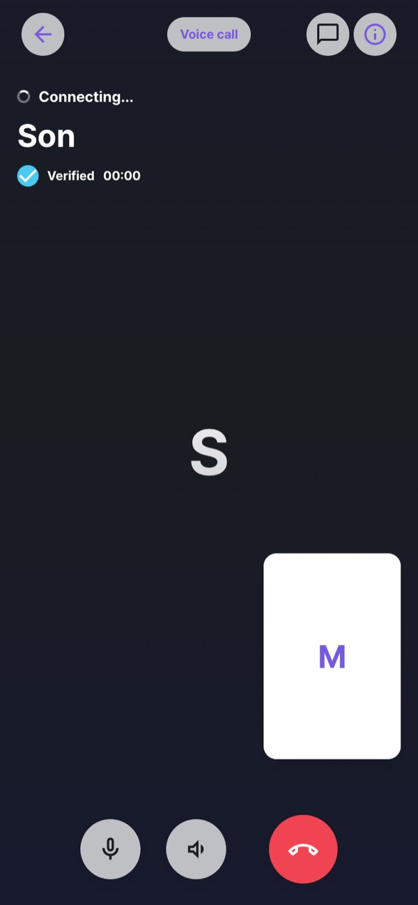 Voice call screen